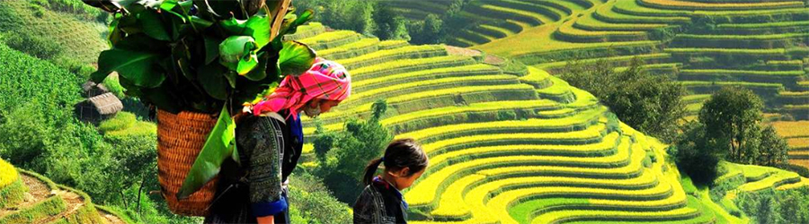 Best restaurants in Sapa Vietnam